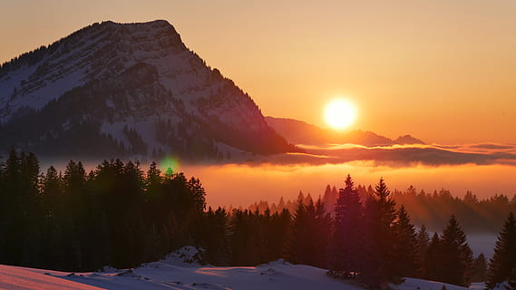 krajinářské fotografie, silueta, stromy, hora, západ slunce, sníh, večer, Příroda, mlha, soumrak, stín, zadní světlo, zlatý, pastel, nálada, odpočinek, tichý, zimní, atmosféra, opar, mraky, Červené, modrý, oranžový, vysokohorský, nebe, les, osamělost, stezka, krajina, slunce, švýcarsko, schwägalp, appenzell, strom, krása v přírodě, scenics - příroda, studená teplota, životní prostředí, rostlina, klidné scény, klid, přistát, slunečního světla, pohoří, nikdo, borovice, jehličnatého stromu, horský vrchol, borové lesy, 4K