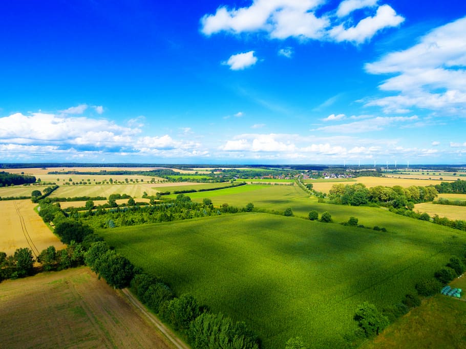 aèria, veure la fotografia, verd, camp de gespa, drone, quadcopter, màquina voladora, fotografies aèries, càmera, camp, volar, treure, vista aèria, arbres, paisatge, controlat remotament, naturalesa, escena rural, agricultura, estiu, cel, a l'aire lliure, escenics, color verd, granja, escena no urbana, terra, arbre, prat, europa, medi ambient, escenics - natura, núvol - cel, bellesa a la natura, escena tranquil·la, tranquil·litat, herba, planta, idíl·lic, cap gent, dia, paisatge rodant, 4K