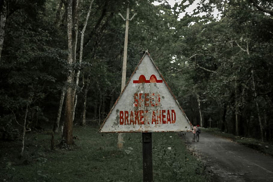 bílý, Červené, dopravní značení, hnědý, ocelové dopravní značení, podepsat, strom, osoba, les, Procházka, cesta, silnice, design, signál, rychlost nárazu, venku, Příroda, provoz, vývěsní štít, rostlina, varovná cedule, sdělení, tvaru trojúhelníku, nikdo, tvar, přistát, text, den, západní skript, vedení, dopravní značka, dřevo - materiál, 5K