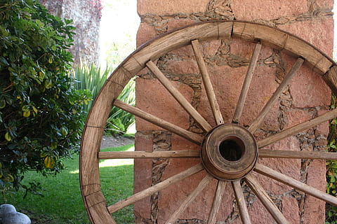 roda, gerobak, sinar, bahan kayu, menanam, roda gerobak, pohon, hari, tidak ada orang, alam, di luar rumah, pertumbuhan, angkutan, tua, merapatkan, bentuk, warna hijau, bidang, lingkaran, bentuk geometris, pola, berbicara, 2K, CC0, domain publik, bebas royalti