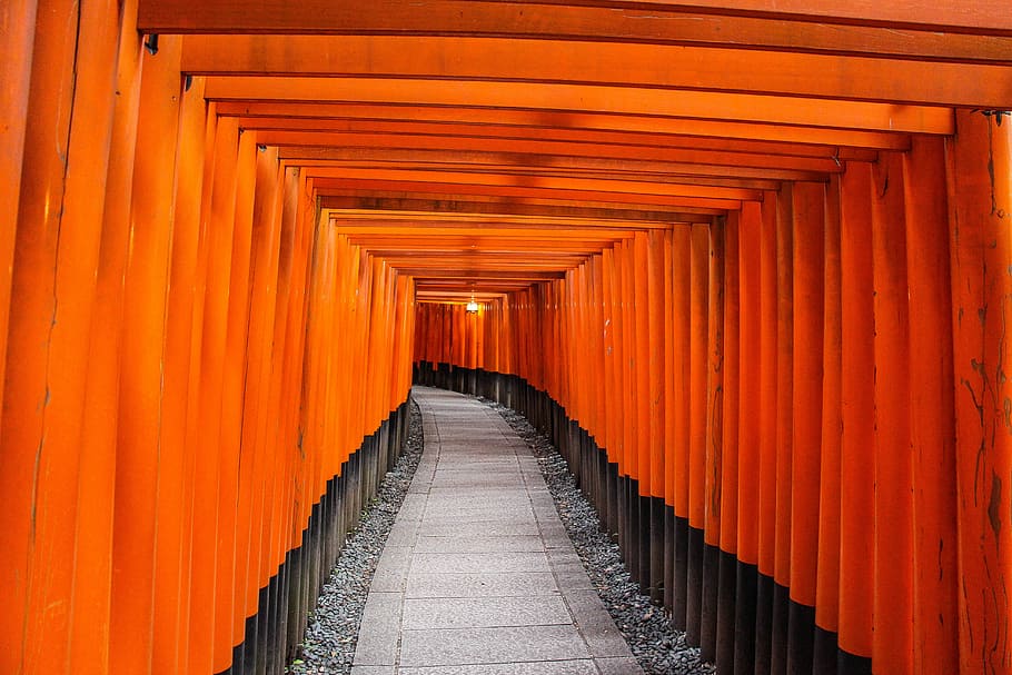 kyoto porte, grå, beton, fortov, træ-, stolpe, gangbro, pathway, sti, tempel gangbro, tapet, rejse, orange port, Port, fushimi inari helligdommen, orange, Kyoto, japan, arkitektur, orange farve, bygget struktur, vejen frem, spiritualitet, religion, sted for tilbedelse, retning, tro, helligdom, i en række, arkitektoniske kolonne, rejsemål, turisme, ingen mennesker, bygning, faldende perspektiv, 5K