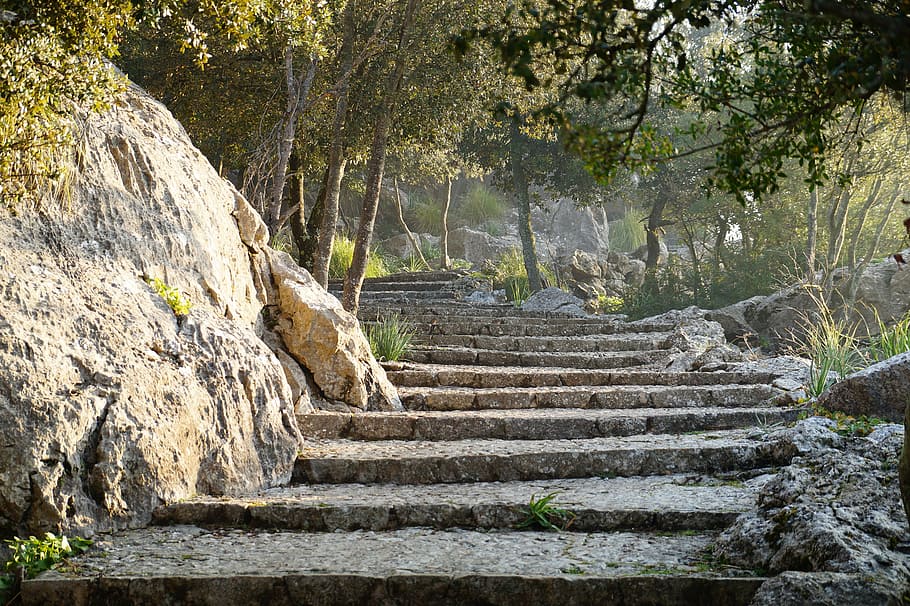 gris, concret, escales, alt, arbres, durant el dia, lluny, Camí, senderisme, naturalesa, paisatge, camí migratori, mallorca, pujar, escala de pedra, vorera, ruta, camí de la creu, caminada, festa, escala, passos i escales, arbre, sòlid, arquitectura, planta, terra, cap gent, rock, direcció, el camí a seguir, rock - object, bosc, bellesa a la natura, tranquil·litat, dia, a l'aire lliure, material de pedra, antic, paret de pedra, 5K