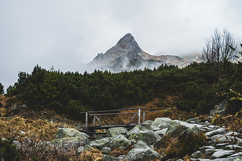 prarado, aukštas, tatras, žalias, medžiai, priekyje, kalnas, piko, aukščiausiojo lygio susitikime, debesis, rūko, medis, pobūdį, vaizdai - gamta, dangus, grožis gamtoje, augalų, aplinką, ramioje scenoje, ramybė, ne miesto scenoje, kraštovaizdį, debesis - dangus, nėra žmonių, žemės, roko objektas, Rokas, kietas, architektūra, dieną, kalnų, lauke, kalnų viršūnė, 5K, CC0, Viešasis domenas, nemokamai