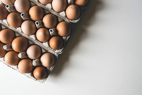 ombre, des œufs, vue de dessus, fond blanc, marron, fermer, aliments, Oeuf, prise de vue en studio, carton d'oeufs, fragilité, Nourriture et boisson, bien-être, à l'intérieur, alimentation saine, fraîcheur, personne, vulnérabilité, nourriture crue, nature morte, espace de copie, vue grand angle, oeuf animal, carton, 5K, CC0, domaine public, libre de droits