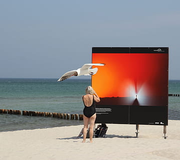 zingst, sergi, plaj, martı, Su, Baltık Denizi, deniz, kuş, bir kişi, gökyüzü, tam uzunluk, gerçek insanlar, ufuk, doğa, yaşam, boş zaman etkinliği, KADIN, yetişkin, ayakta, arazi, su üzerinde ufuk, açık hava, dikiz, şort, 2K, CC0, kamu malı, telif ücretsiz