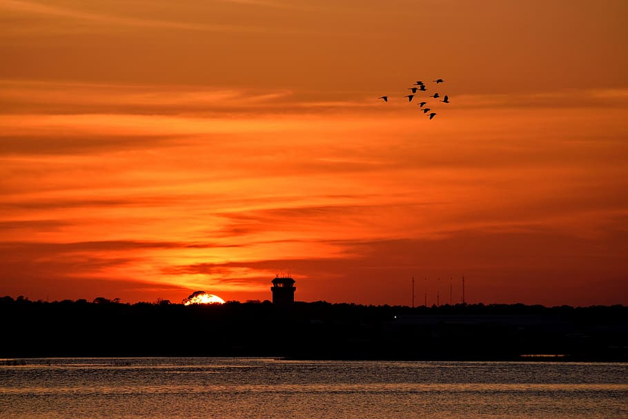 birds, flying, sky, sunset, dawn, dusk, sun, water, evening, nature, outdoors, reflection, beauty, landscape, vibrant, colorful, orange, amber, silhouette, scene, light, tranquil, bright, river, scenery, sea, night, tourism, horizon, coast, wildlife, cloud - sky, animal themes, bird, vertebrate, animals in the wild, animal, orange color, group of animals, animal wildlife, no people, beauty in nature, scenics - nature, mid-air, large group of animals, flock of birds, 5K