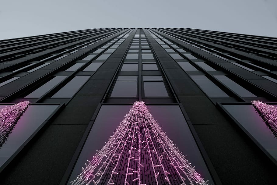 montreal toner, sort, bygning, dagtimerne, skyskraber, neonlys, lav vinkel visning, kigger op, himmel, bygget struktur, arkitektur, bygning udvendig, høj - høj, by, skyfri himmel, moderne, kontorbygning udvendig, ingen mennesker, tårn, natur, udendørs, lyserød farve, dag, glas - materiale, kontor, lilla, direkte under, 5K