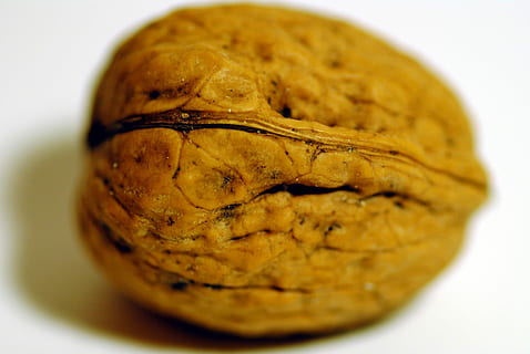 Walnut, Dry Fruit, Dried, Nut, Snack, food, healthy, diet, dry, seeds, nutrition, food and drink, close-up, white background, no people, studio shot, healthy eating, wellbeing, indoors, selective focus, freshness, vegetable, single object, cut out, baked, bread, simplicity, focus on foreground, 1080P, CC0, public domain, royalty free
