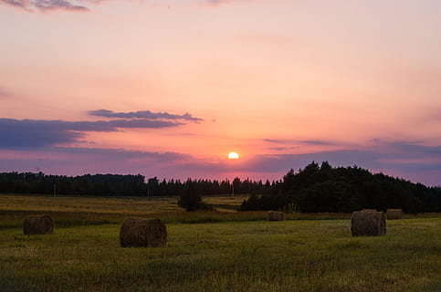 august, stack, summer, evening, straw, hay, field, landscape, the harvest, sunset, sky, beauty in nature, bale, tranquil scene, tranquility, plant, environment, scenics - nature, cloud - sky, rural scene, land, agriculture, nature, grass, tree, no people, farm, sun, outdoors, 4K, CC0, public domain, royalty free