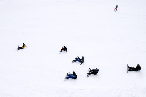 gente che gioca a snowboard, foto, le persone sciano, la neve, sport invernali, all'aperto, inverno, sport, freddo - temperatura, persone, natura, divertimento, sciare, montagna, stagione, temperatura fredda, vista dall'alto, attività di svago, terra, Colore bianco, giorno, campo, bellezza nella natura, avventura, persona irriconoscibile, ambiente, vestiti caldi, montagna innevata, 4K, CC0, dominio pubblico, privo di copyright