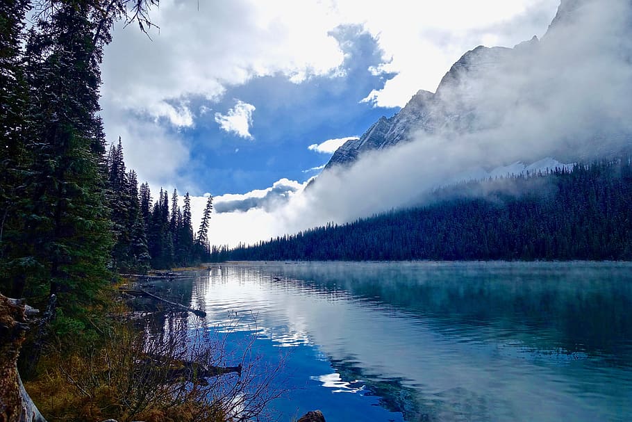Lac, brouillard, lumière du soleil, réflexion, Matin, la nature, région sauvage, paysage, forêt, eau, paysages, arbre, en plein air, Montagne, personne, scène tranquille, beauté dans la nature, ciel, chaîne de montagnes, zone de nature sauvage, image couleur, des bois, Canada, nuage - ciel, paysages - nature, plante, tranquillité, journée, scène non urbaine, idyllique, front de mer, croissance, pin, pouvoir dans la nature, eau qui coule, conifère, 5K
