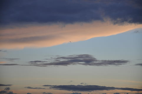 foto cloud, awan, langit, matahari terbenam, matahari terbit, burung, awan - langit, keindahan di alam, scenics - alam, ketenangan, warna oranye, adegan yang tenang, tidak ada orang, alam, idilis, gunung, di luar rumah, langit yang dramatis, tampilan sudut rendah, lingkungan Hidup, senja, adegan non-urban, bayangan hitam, 4K, CC0, domain publik, bebas royalti