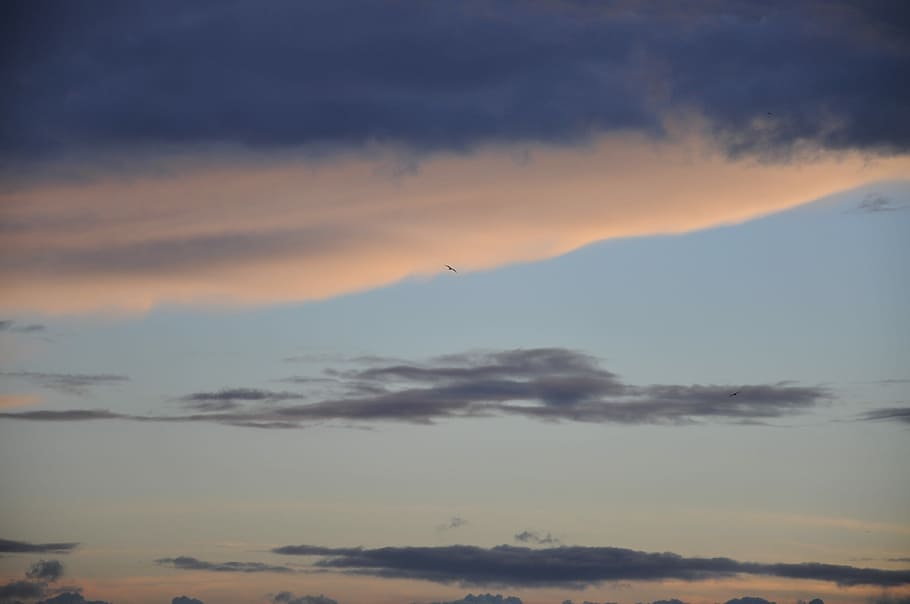 billede af skyen, Sky, himmel, solnedgang, solopgang, fugl, sky - himmel, skønhed i naturen, scenics - natur, ro, orange farve, rolig scene, ingen mennesker, natur, idyllisk, bjerg, udendørs, dramatisk himmel, lav vinkel visning, miljø, skumring, ikke-urbane scene, silhuet, 4K