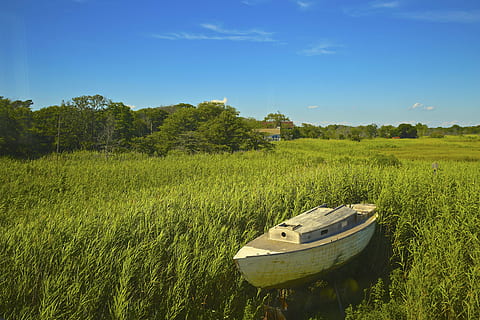 brown, boat, green, grass, nature, landscape, trees, leaves, clouds, sky, travel, adventure, nautical Vessel, summer, outdoors, rural Scene, plant, field, scenics - nature, tranquility, agriculture, mode of transportation, land, day, transportation, growth, green color, water, tranquil scene, no people, moored, 5K, CC0, public domain, royalty free