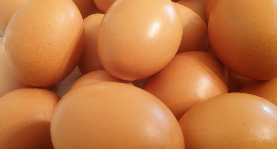 ous marrons, ous, menjar, shell, marró, oval, pollastre, nutrició, alimentació saludable, menjar i beguda, cap gent, primer pla, frescor, benestar, ou, aliments crus, marc complet, grup d'objectes, fons, gran grup d'objectes, a l'interior, orgànic, abundància, natura morta, fruita, 4K