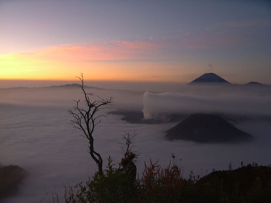 sol, posta de sol, mount, bromo, in, mount, bromo, naturalesa, escenics, cel, a l'aire lliure, núvol - cel, escenics - natura, bellesa a la natura, muntanya, escena tranquil·la, tranquil·litat, volcà, medi ambient, cap gent, escena no urbana, destinacions de viatge, paisatge, arbre, terra, planta, aigua, cim de muntanya, 720P