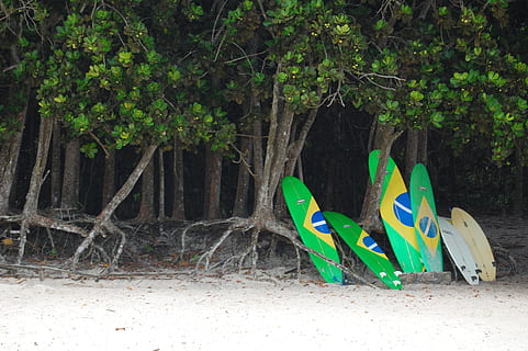 surf, spiaggia, lei, tavola, ilha grande, Surf, spiaggia, rio de janeiro, albero, nessuno, all'aperto, giorno, pianta, natura, colore verde, terra, crescita, tronco d'albero, tronco, rappresentazione animale, foresta, ramo, scarpa, assenza, parco, multicolore, temi animali, animale, 2K, CC0, dominio pubblico, privo di copyright