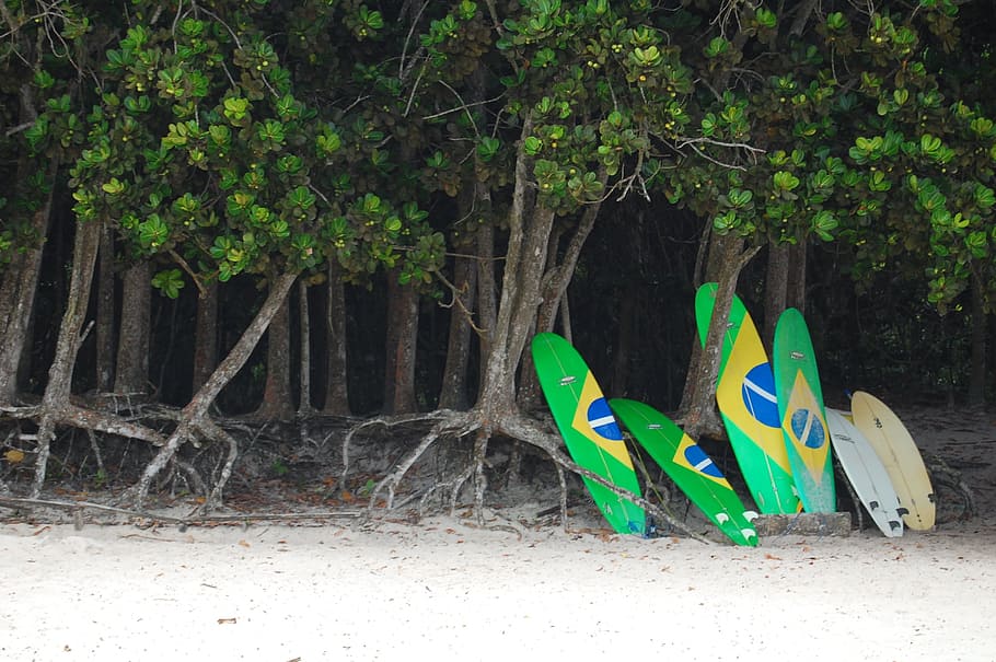 surf, platja, lei, tauler, ilha grande, navega, platja, riu de Janeiro, arbre, cap gent, a l'aire lliure, dia, planta, naturalesa, color verd, terra, creixement, tronc de l'arbre, tronc, representació animal, bosc, branca, sabata, absència, parc, multicolor, temes d'animals, animal, 2K