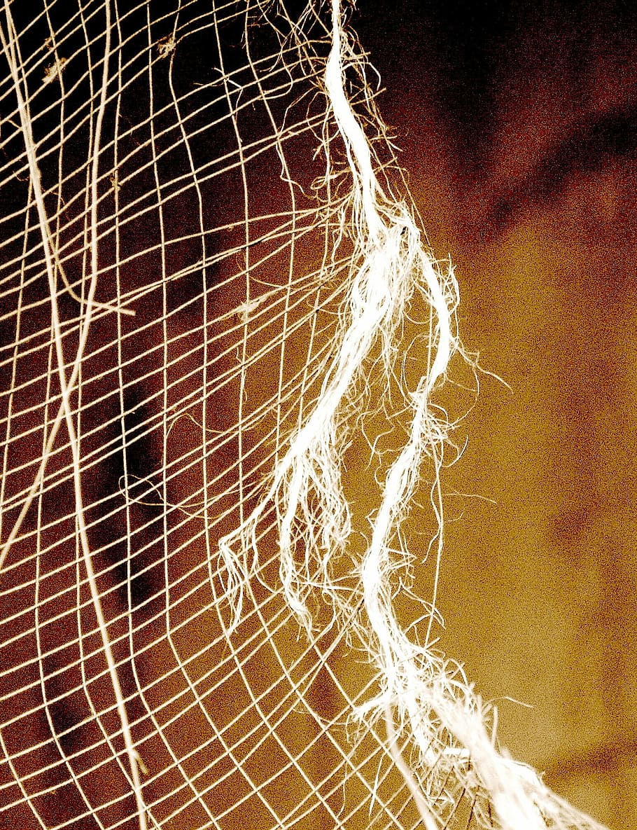 xarxa, ull, sípia, cap gent, primer pla, patró, centrar-se en primer pla, exposició llarga, brillant, moviment, marc complet, il·luminat, moviment borrós, nit, fons, llum - fenomen natural, a l'aire lliure, resum, teranyina, complexitat, naturalesa, velocitat, 1080P