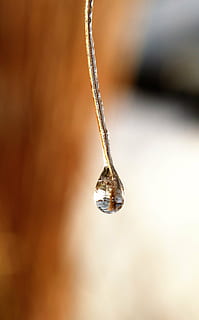 dryppe, dug, dugdråbe, blad, græs, dråbe vand, efterår, Morgentau, tæt, vand, plante, afrimning, smykker, luksus, diamantring, ingen mennesker, tæt på, dyrebar perle, indendørs, platin, dag, fokus på forgrunden, selektiv fokusering, rigdom, enkelt objekt, diamant - ædelsten, hængende, natur, halskæde, sollys, stilleben, ring, vinter, kold temperatur, personlige tilbehør, 2K, CC0, offentligt domæne, royaltyfrie