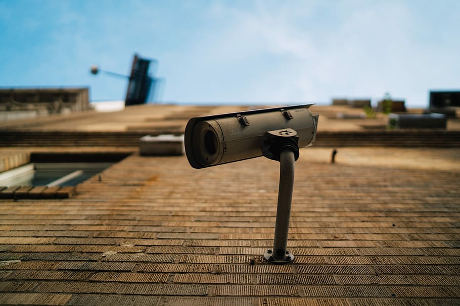 superficiale, fotografia a fuoco, grigio, telecamera di sicurezza, bianca, videocamera di sorveglianza, a cavallo, Marrone, calcestruzzo, muro di mattoni, parete, sorveglianza, sicurezza, cctv, telecamera, finestra, cielo, esterno, mattone, nyc, Guardando, città, New York, architettura, concentrarsi sulle conoscenze acquisite, giorno, struttura costruita, tecnologia, nessuno, esterno dell'edificio, all'aperto, legno - materiale, binocolo, natura, luce del sole, a gettoni, temi fotografici, strumento ottico, videocamera domestica, 8K