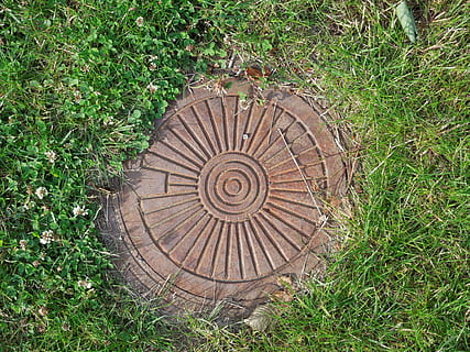 riool, deksel, patroon, gras, fabriek, hoge hoekmening, land-, geen mensen, natuur, dag, veld-, cirkel, recht boven, geometrische vorm, vorm, hout - materiaal, groei, buitenshuis, bruin, spiraal, ontwerp, groene kleur, 4K, CC0, publiek domein, royaltyvrij