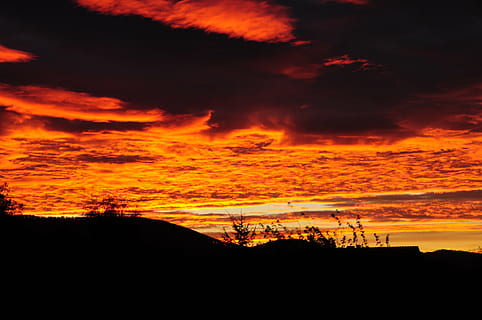 solnedgang, handle om, skog, silhouette, sky - himmel, himmel, oransje farge, skjønnhet i naturen, naturskjønnhet - natur, rolig scene, ro, natur, dramatisk himmel, ingen folk, miljø, idylliske, landskap, utendørs, ærefrykt, majestetiske, tre, ikke-urbane scene, mørk, illevarslende, 4K, CC0, offentlig domene, opphavsrett gratis