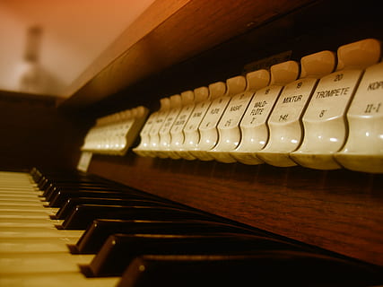 makro fotografija, klaviatūros klavišai, organas, instrumentas, bažnyčia, mygtukas, klaviatūra, parametrus, muzika, elektroniniu būdu, klaviatūros priemonė, e organas, vadovai, fortepijonas, muzikinis instrumentas, fortepijono klavišas, Raktas, garsas, žaisti, Iš arti, spektaklis, Klasikinė muzika, dramblio kaulo, pramogos, muzikos įranga, meno kultūra ir pramogos, patalpose, atrankinis dėmesys, mediena - medžiaga, nėra žmonių, eilėje, nebuvimas, kartojimas, juoda spalva, styginių instrumentas, didelė objektų grupė, 2K, CC0, Viešasis domenas, nemokamai