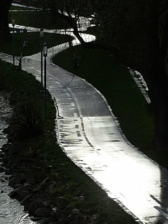 fodgænger, cykelsti, cykelsti netværk, gader, vejnet, vej, Trafik, cyklister, cykling, regn, våd, skinne, natur, plante, træ, vand, ingen mennesker, retning, vejen frem, dag, udendørs, kurve, transportmidler, ro, sti, arkitektur, flod, jord, høj vinkel visning, parkere, flydende vand, flyder, 4K, CC0, offentligt domæne, royaltyfrie