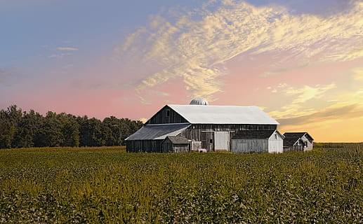 stodola, rustikální, stodoly, Ohio, digitální umění, venkovský, scénický, země, venkov, scenérie, kůlny, hospodařit, zemědělských podniků, zemědělství, zemědělský, statek, champaign, hrabství, americana, fotografie, struktura, struktur, sturgell, william sturgell, Bill Sturgell, historický, domovní dekorace, budov, mraky, nebe, strom, stromy, zataženo, plevele, champaign county, urbana, architektura, stavba, rostlina, pole, přistát, exteriér budovy, Dům, budova, krajina, venkovské scény, rezidenční čtvrti, Příroda, růst, mrak - nebe, zemědělské budovy, krása v přírodě, západ slunce, nikdo, venku, plantáž, 4K, CC0, veřejná doména, bez autorských práv
