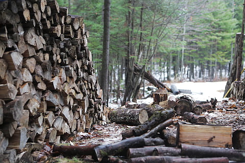 træ, logfiler, stak, bunke, Skov, tømmer, natur, træ-, træer, skære, grene, bark, sne, vinter, træ - materiale, log, skovrydning, Brænde, jord, dag, tømmerindustrien, plante, ingen mennesker, miljøspørgsmål, overflod, træstamme, bagagerum, stor gruppe af objekter, udendørs, brændestablen, 5K, CC0, offentligt domæne, royaltyfrie