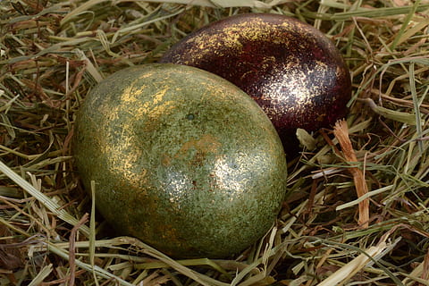 Ostereier, Ostern, Ei, Dekoration, Osterdekoration, Frohe Ostern, Grün, violett, süß, glänzend, bunte Eier, Farbe, Osterdekorationen, gemalt, Brauch, Heu, Osterei, Ostergrüße, Osterfeier, Lebensmittel, Essen und Trinken, keine Leute, gesundes Essen, Nahansicht, Pflanze, Obst, Gras, Feld, Tag, Feier, Land, Natur, Wohlbefinden, High Angle View, Stillleben, grüne Farbe, 4K, CC0, gemeinfrei, lizenzfrei
