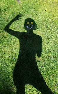 silhouette, person, grass, wave, shadow, cheerful, luck, hello, greeting, green, human, dandelion, daisy, fun, laugh, happy, figure, summer, green color, plant, sunlight, nature, focus on shadow, high angle view, field, day, one person, standing, outdoors, portrait, land, growth, real people, unrecognizable person, 4K, CC0, public domain, royalty free