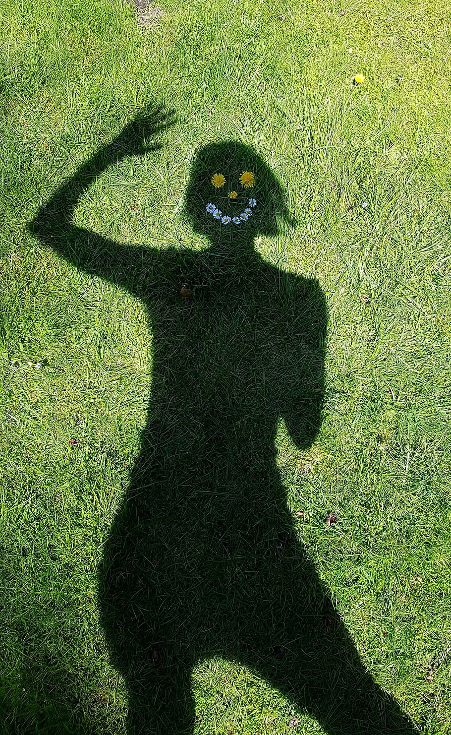 silueta, persona, herba, onada, ombra, alegre, sort, Hola, salutació, verd, humà, dent de lleó, margarida, diversió, riure, feliç, figura, estiu, color verd, planta, llum solar, naturalesa, centrar-se en l'ombra, vista d’angle alt, camp, dia, una persona, de peu, a l'aire lliure, retrat, terra, creixement, persones reals, persona irreconeixible, 4K