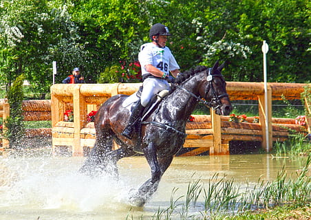 žokejs, tops, melns, zirgs, galloping, ūdens, dienas laikā, daudzpusība, braukt, daudzpusības pārbaude, notikumi, izjādes ar zirgiem, šķērslis, reljefu, rīcību, kustība, grāvis, atkārtot, hdr, izjādes, iekšzemes, Mājdzīvnieki, viens cilvēks, kustību, zīdītāju, jāšana ar zirgu, vīriešiem, reāliem cilvēkiem, mājlopiem, darbību, dzīvnieku savvaļas dzīvnieki, mugurkaulniekiem, ārā, zālēdāji, 2K, CC0, publiskais domēns, bez atlīdzības