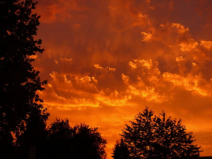 silhouet fotografie, bomen, zonsondergang, rood, wolken, hemel, avond, avondlucht, nagloed, humeur, abendstimmung, schemer, mooi, zon opkomst, landschap, brandend, brand, boom, fabriek, schoonheid in de natuur, wolk - lucht, silhouet, Oranje kleur, scenics - natuur, kalmte, geen mensen, dramatische hemel, natuur, idyllisch, rustige scène, lage hoekweergave, niet-stedelijke scène, groei, buitenshuis, donker, kruin, 2K, CC0, publiek domein, royaltyvrij