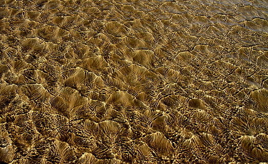 corp de apa, oglinda de apă, fundal, model, structura, nisip, apă, oglindă, concediu de odihna, coastă, plajă, natură, mare, în aer liber, ocean, peisaj, cale, vacanţă, călătorie, relaxa, plaja de nisip, soare, malul marii, timp liber, vară, mod de viata, plajă de vară, litoral, mal, insulă, relaxare, tapet, contemplare, gândire, reflectând, calm, liniștit, relaxant, romantic, zi, liniştit, romantism, bunastare, lumina soarelui, luminos, însorit, raza de soare, ușoară, zi insorita, fundal luminos, sezon, natura fundal, mediu inconjurator, natural, strălucire, iluminatul exterior, peisaj de vară, fundal de primavara, fundal de vară, lumina fundal, textură, culoare, galben, fundal model, efect, fundal de culoare, aur, frumos, fundal de aur, diferit, citează fundalul, cadru complet, fundaluri, teren, nici o persoana, vedere în unghi mare, frumusețe în natură, liniște, plantă, modelul natural, maro, creştere, scenice - natura, texturată, camp, 4K, CC0, domeniu public, fără drepturi de autor