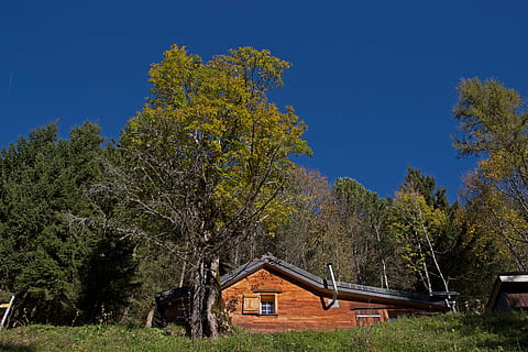 alpine hut, facade cladding, shingle, log cabin, wooden wall, wall tiling, architecture, tree, built structure, house, plant, building, building exterior, residential district, blue, nature, no people, sky, landscape, land, green color, day, hut, non-urban scene, outdoors, beauty in nature, cottage, pine tree, coniferous tree, 5K, CC0, public domain, royalty free