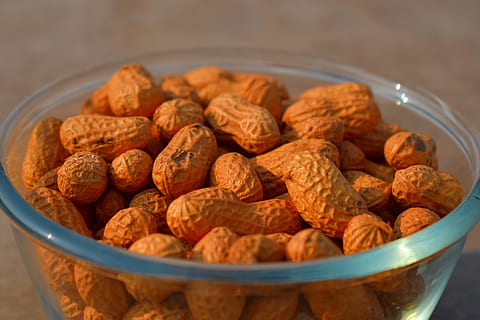 groundnuts, peanuts, nuts, snack, food, food and drink, bowl, freshness, close-up, healthy eating, wellbeing, indoors, large group of objects, abundance, no people, brown, still life, table, corn flakes, nut, breakfast cereal, selective focus, heap, breakfast, 5K, CC0, public domain, royalty free