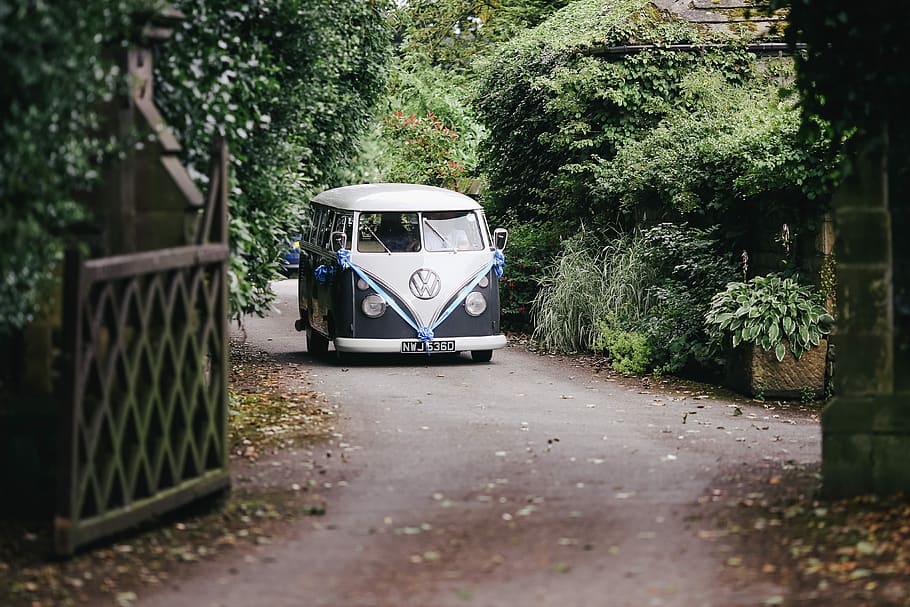 foto, blanc, negre, Volkswagen hippie van, verd, fulles, planta, gris, volkswagen kombi, apropant-se, porta, furgoneta, carretera, Camí, a l'aire lliure, casament, vw, Volkswagen, vw camper, autocaravana, cotxe de casament, transport, manera de transport, arbre, vehicle terrestre, dia, automòbil, naturalesa, cotxe, creixement, carrer, color verd, centrar-se en fons, ciutat, viatjar, enfocament selectiu, cap gent, direcció, 4K