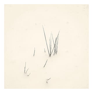 vinter, sne, buske, vinterlige, Kunst og håndværk, kopiere plads, kreativitet, indendørs, papir, automatisk postproduktionsfilter, tæt på, hvid farve, ingen mennesker, hvid baggrund, studio skud, tegning - kunstprodukt, overfør print, natur, sort farve, fritidsaktivitet, nøjagtighed, kunstkultur og underholdning, 2K, CC0, offentligt domæne, royaltyfrie