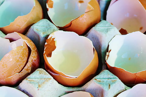 grunt, fokus fotografering, eggeskall, egg, eggbrett, høne egg, brun, shell, lime, mat, mat og Drikke, nærbilde, spise sunt, friskhet, frukt, full ramme, ingen folk, velvære, stor gruppe gjenstander, overflod, innendørs, dag, fokusere på forgrunnen, tropisk frukt, natur, stilleben, gul, stjernefrukt, studio skudd, moden, 2K, CC0, offentlig domene, opphavsrett gratis