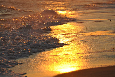 Billede af strandlinjen, strand, solnedgang, ocean, bølger, natur, hav, skønhed i naturen, sollys, scenics, afspejling, rolig scene, ro, udendørs, vand, himmel, jord, bølge, bevægelse, ingen mennesker, selektiv fokusering, orange farve, scenics - natur, sport, 4K, CC0, offentligt domæne, royaltyfrie