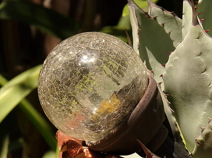 orb, Globus, Perspektive, Ökologie, Umgebung, Natur, Erde, Wissenschaft, Nahansicht, Fokus auf den Vordergrund, Tag, keine Leute, draußen, Pflanze, Blatt, Pflanzenteil, Wachstum, Frische, grüne Farbe, Essen und Trinken, Lebensmittel, gesundes Essen, Obst, Reflexion, Sonnenlicht, Schönheit in der Natur, Baum, 4K, CC0, gemeinfrei, lizenzfrei