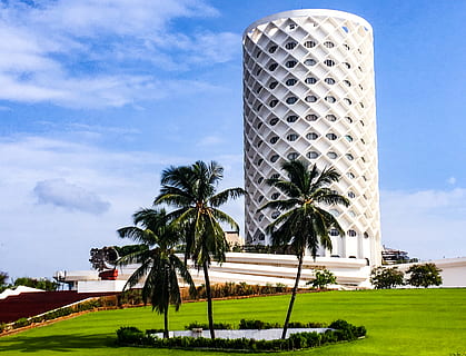 palmeras, arquitectura, edificio, nubes, cocos, luz, hierba, paisaje, moderno, al aire libre, plantas, cielo, arboles, urbano, agua, árbol, palmera, planta, estructura construida, clima tropical, exterior del edificio, naturaleza, nube - cielo, día, nadie, torre, destinos de viaje, crecimiento, césped, luz del sol, edificio de oficinas exterior, rascacielos, palmera de coco, 2K, CC0, dominio público, libre de derechos