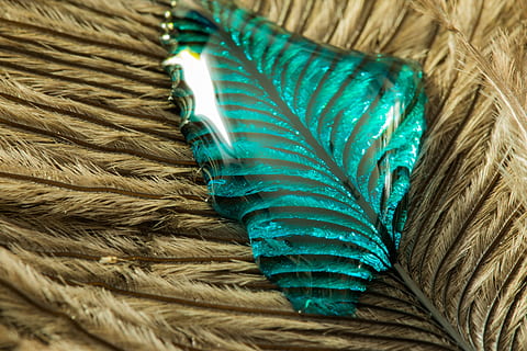 strauss spring, gocciolare, piuma, vicino, macro, sfondo, goccia d'acqua, struttura, piuma d'uccello, liquido, avvicinamento, nessuno, blu, in casa, animale, piuma di pavone, modello, colore verde, temi animali, fotogramma intero, uccello, pavone, messa a fuoco selettiva, un animale, morbidezza, sfondi, vista dall'alto, vertebrato, color turchese, 4K, CC0, dominio pubblico, privo di copyright
