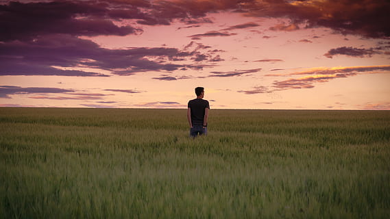 mand, stående, høj, græsser, gylden, time, græsmark, solnedgang, Foto, mand i sort, T-shirt, himmel, Sky, græs, Mark, natur, mennesker, herrer, udendørs, en person, landlige scene, sommer, eng, hvede, voksen, ensomhed, landskab, landbrug, vækst, gård, jord, skønhed i naturen, miljø, bagfra, plante, horisont over land, sky - himmel, ro, rigtige mennesker, tre kvart længde, scenics - natur, 5K, CC0, offentligt domæne, royaltyfrie