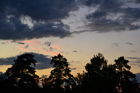 finnisch, Wolken, dunkle Wolken, Himmel, das dramatische, Holz, Silhouette, Wolke, Sonnenuntergang, Baum, wolke - himmel, Pflanze, Schönheit in der Natur, Ruhe, Szenen - Natur, ruhige Szene, Flachwinkelansicht, keine Leute, Natur, orange Farbe, Wachstum, idyllisch, Nicht-städtische Szene, draußen, Dramatischer Himmel, 2K, CC0, gemeinfrei, lizenzfrei