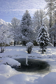 Oberstdorf, is, vintertid, iskald, kald, frossen, frost, kaldtemperatur, vinter, snø, tre, anlegg, skjønnhet i naturen, ro, rolig scene, natur, hvit farge, ingen folk, naturskjønnhet - natur, dag, dekker, himmel, land, miljø, felt, utendørs, snødekte fjell, pulver snø, 2K, CC0, offentlig domene, opphavsrett gratis