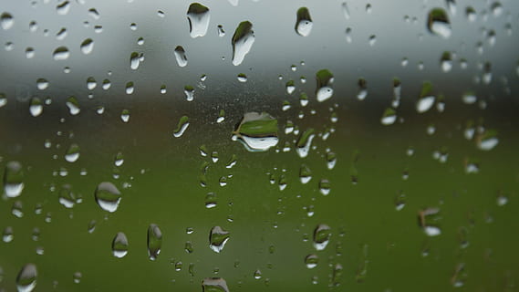 regn, slip, regndråbe, vindue, regn, dråbe, kondensation, tåget, væske, regn dråber, gennemsigtig, vanddråber, våd, vand, fuld ramme, vejr, tæt på, natur, ingen mennesker, plante, fokus på forgrunden, glas - materiale, baggrunde, dag, udendørs, grøn farve, regntiden, renhed, 2K, CC0, offentligt domæne, royaltyfrie
